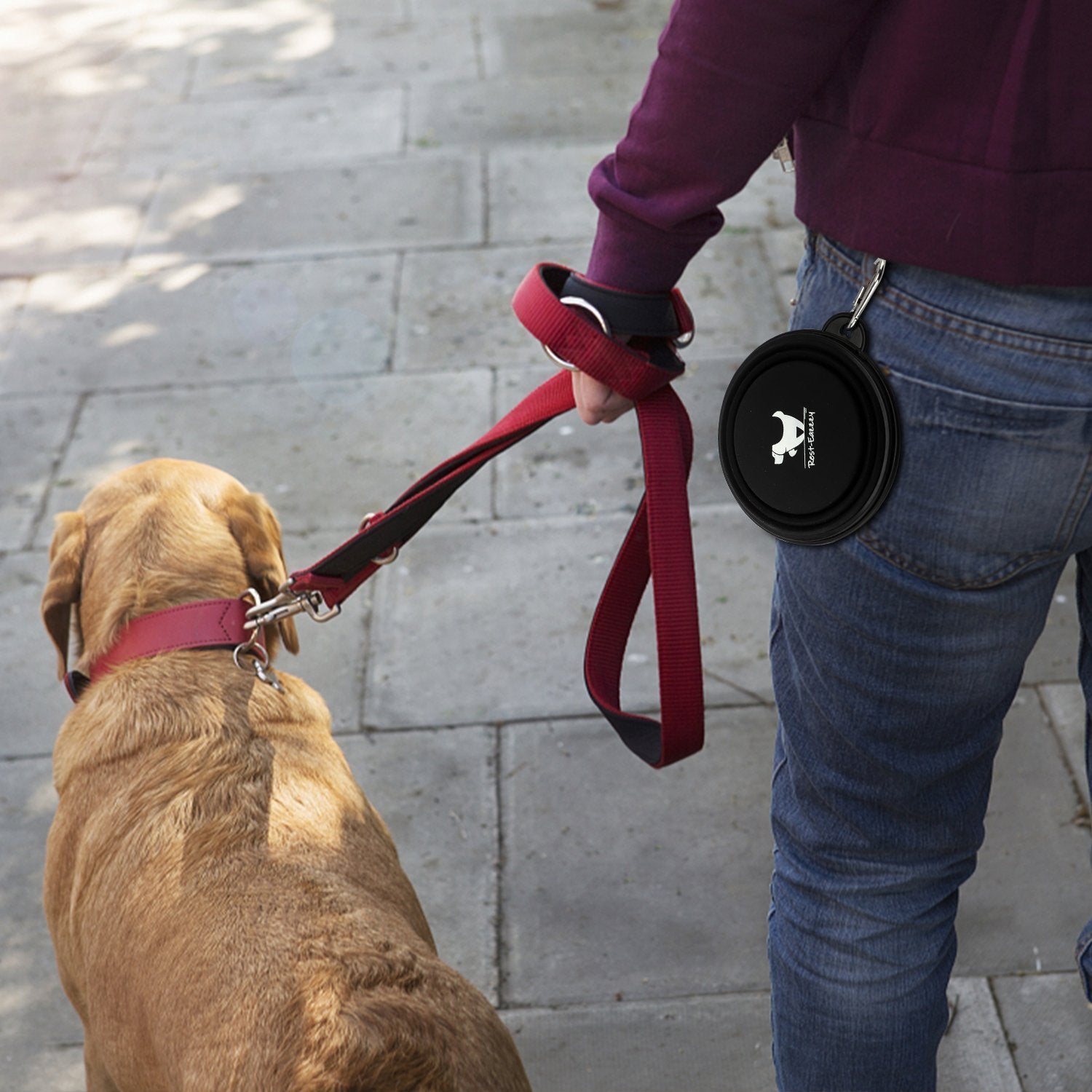 350ML 1PC Collapsible Dog Bowls for Travel Dog Portable Water Bowl for Dogs Dish for Traveling Camping Walking_21