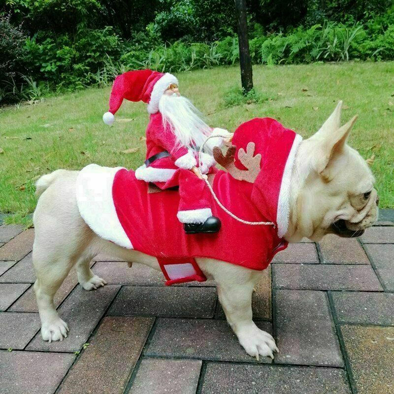 Dog Christmas Costume Dog Santa Claus Costume Dog Cat Christmas Holiday Outfit Pet Christmas Clothes Running Santa Claus Riding on Pet for Medium to Large Sized Dogs